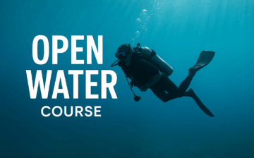 Curso open water